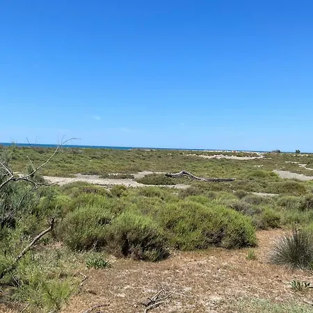 L'oiseau Des Sables Apartment